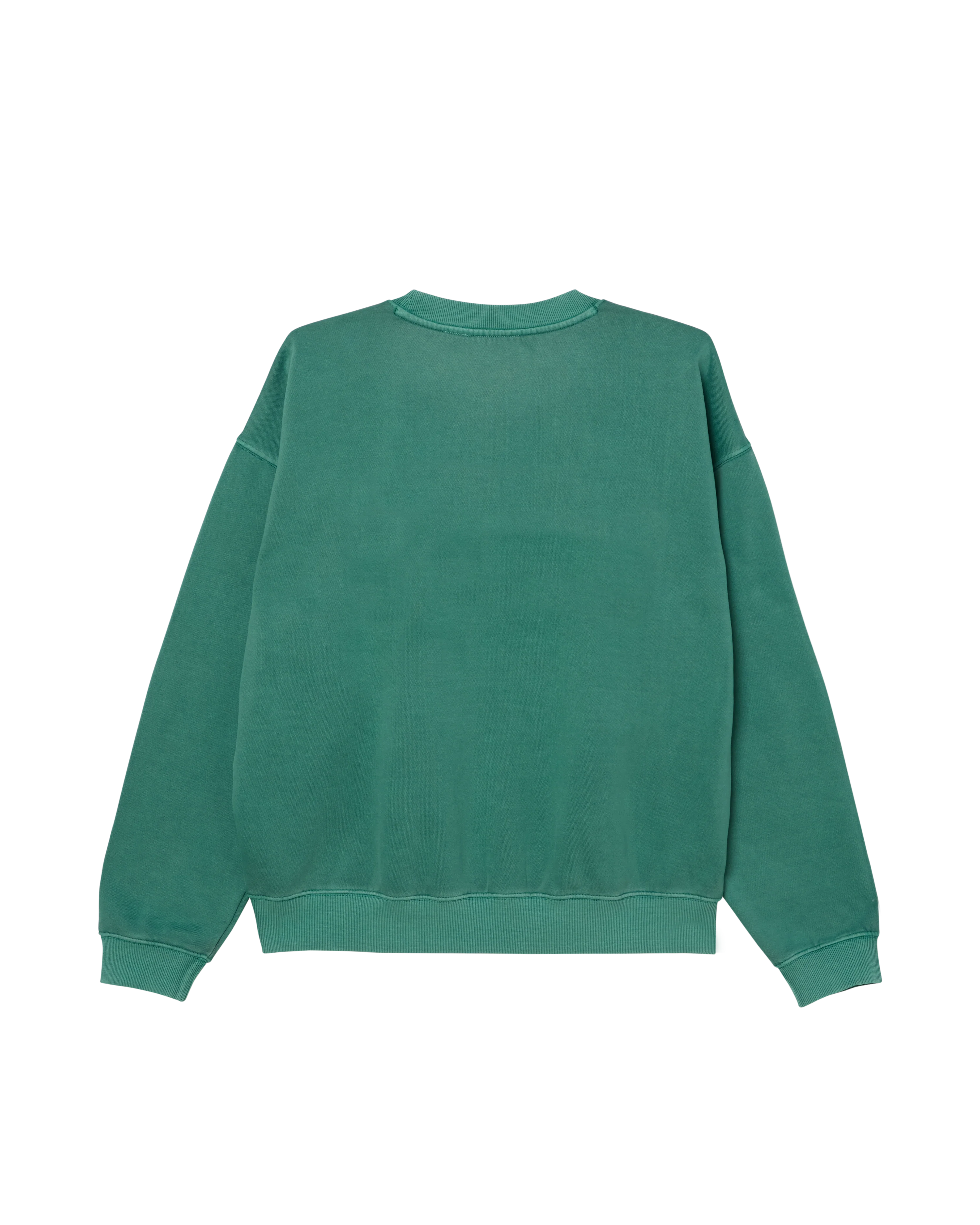 COLLEGIATE PIGMENT CREWNECK - Image 2