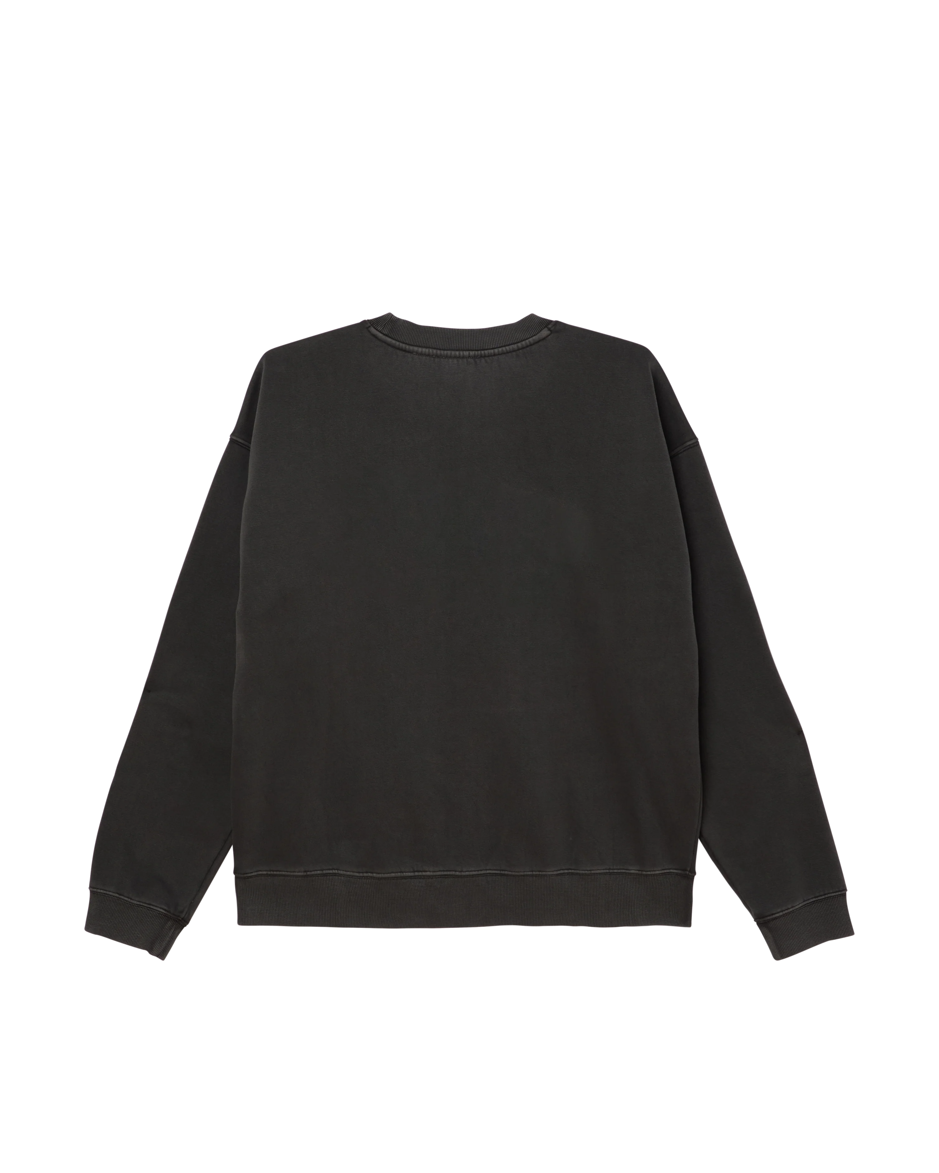 COLLEGIATE PIGMENT CREWNECK - Image 2
