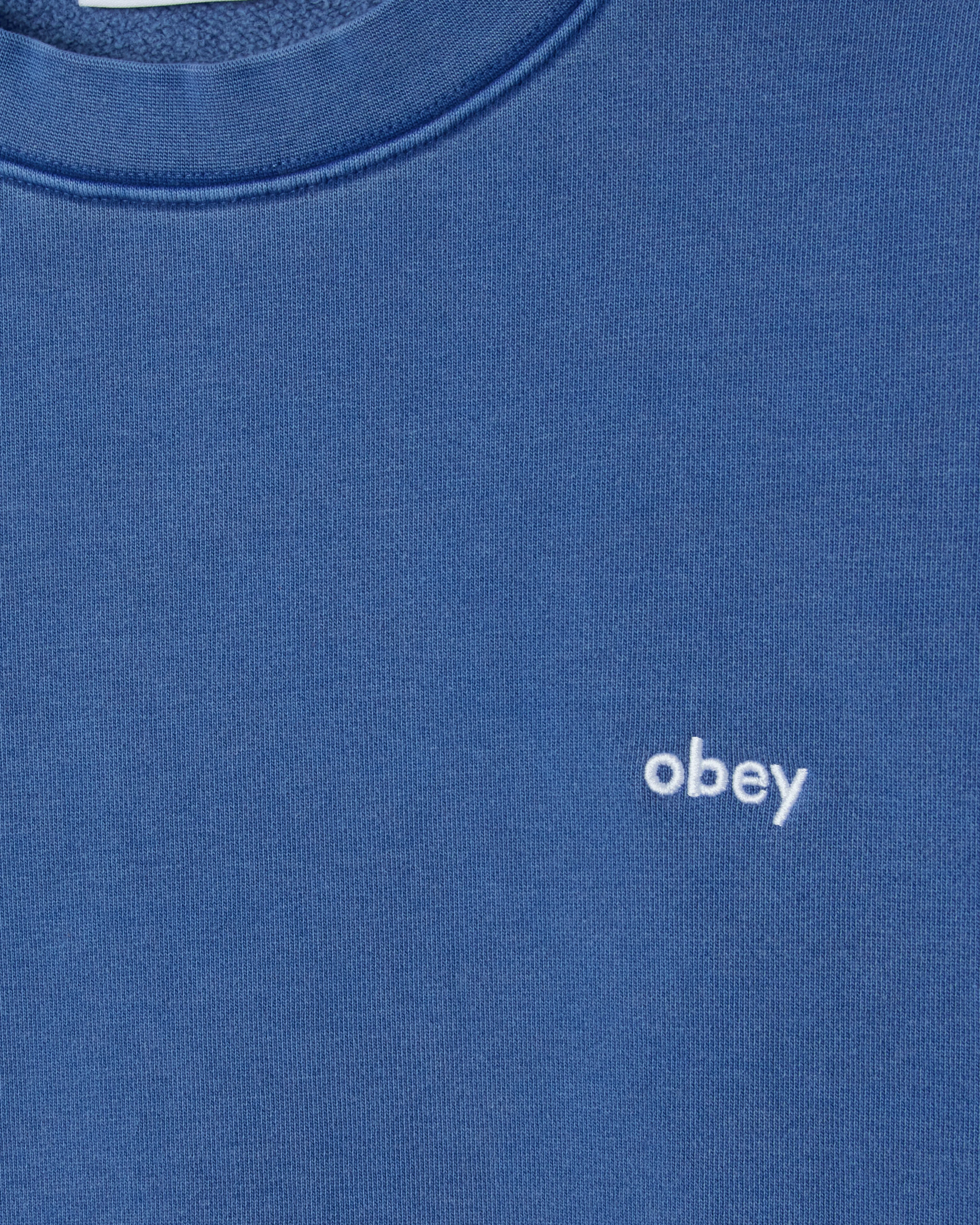 LOWERCASE PIGMENT CREWNECK - Image 3
