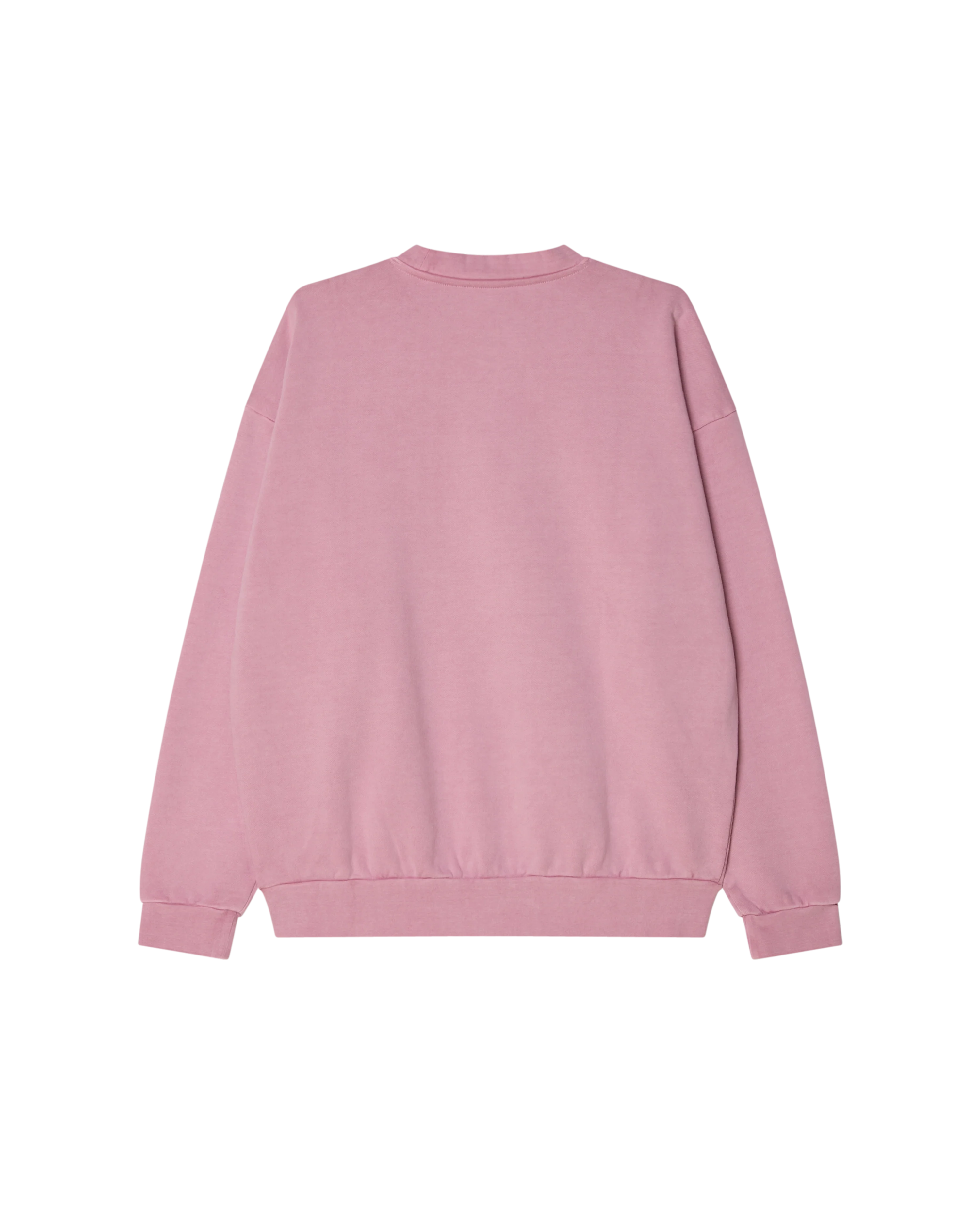 LOWERCASE PIGMENT CREWNECK - Image 2