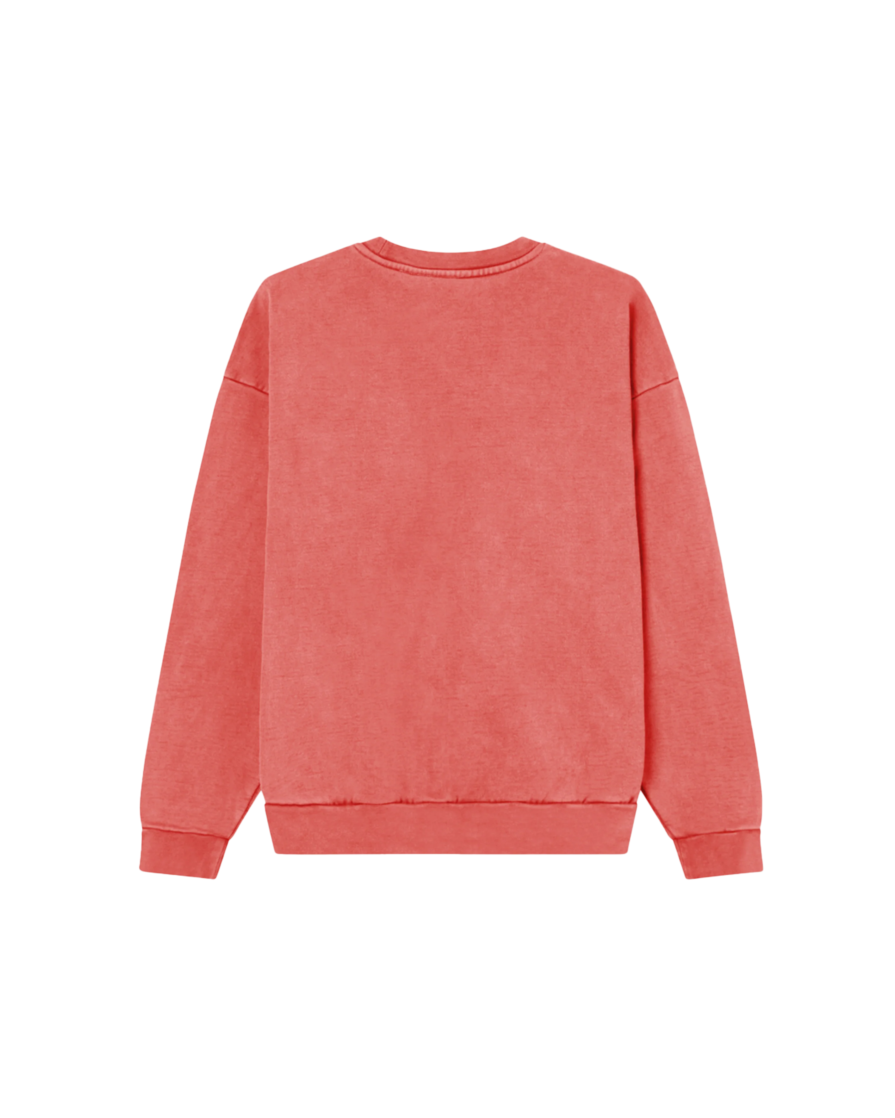 LOWERCASE PIGMENT CREWNECK - Image 2