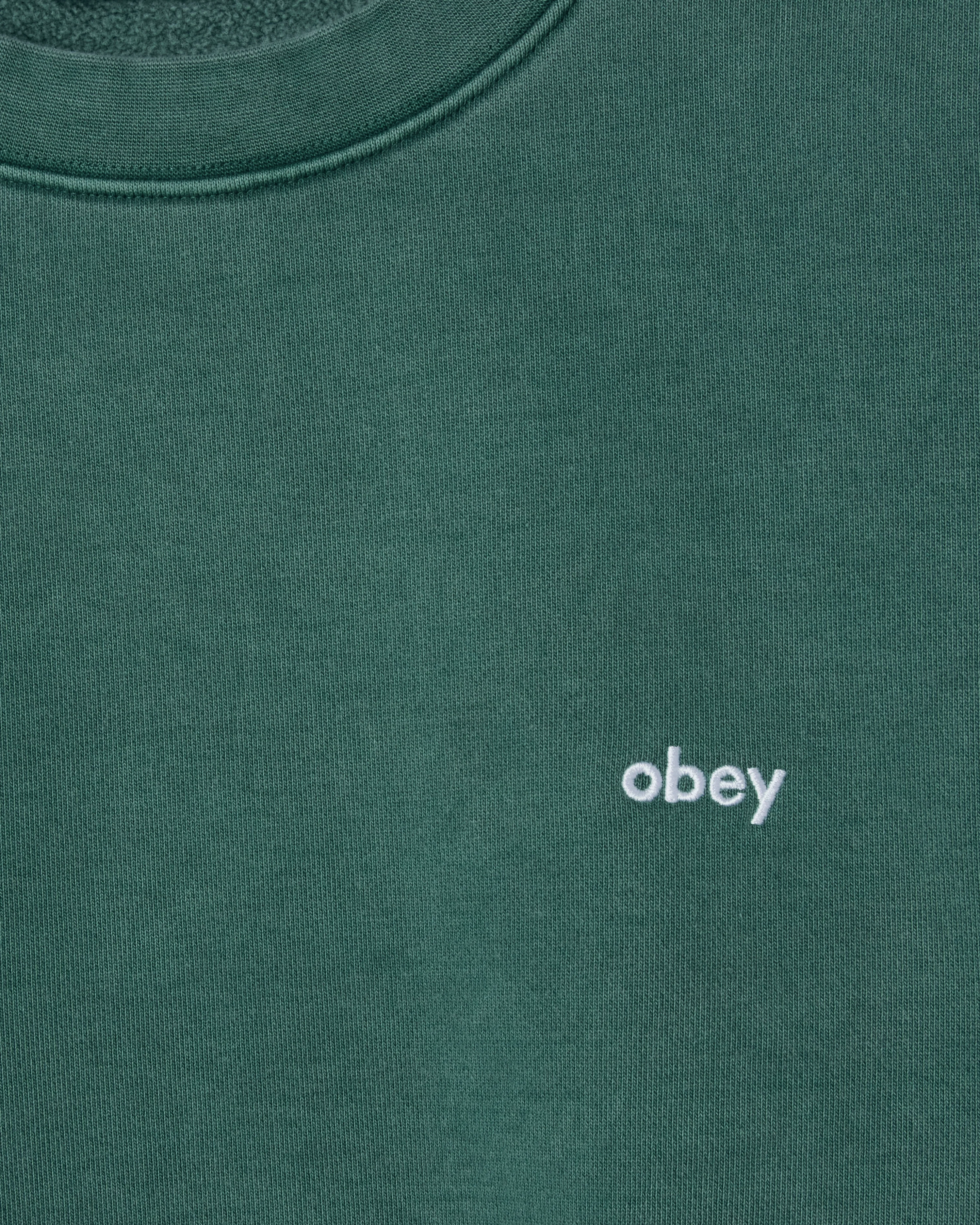 LOWERCASE PIGMENT CREWNECK - Image 3