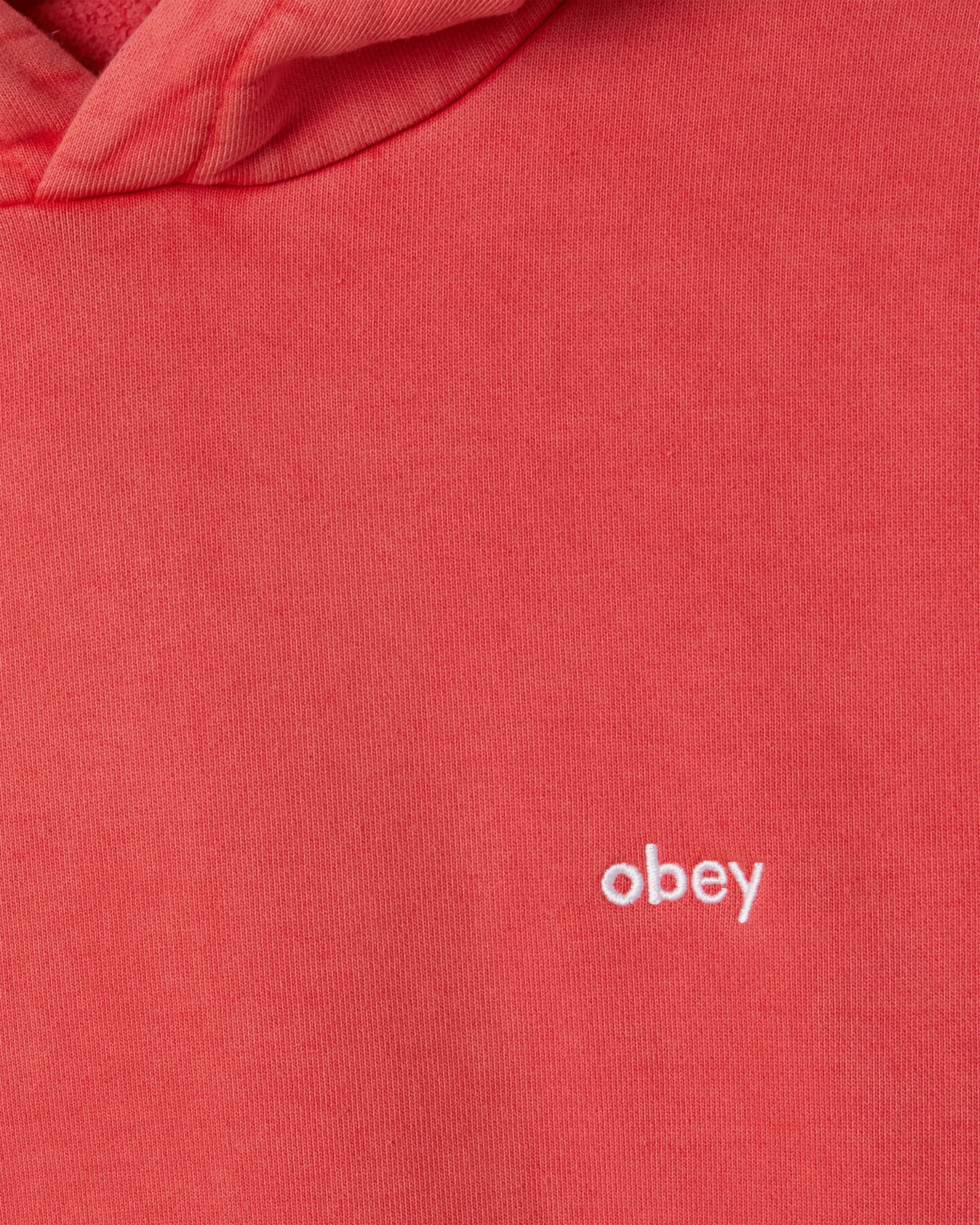 LOWERCASE PIGMENT PULLOVER - Image 3