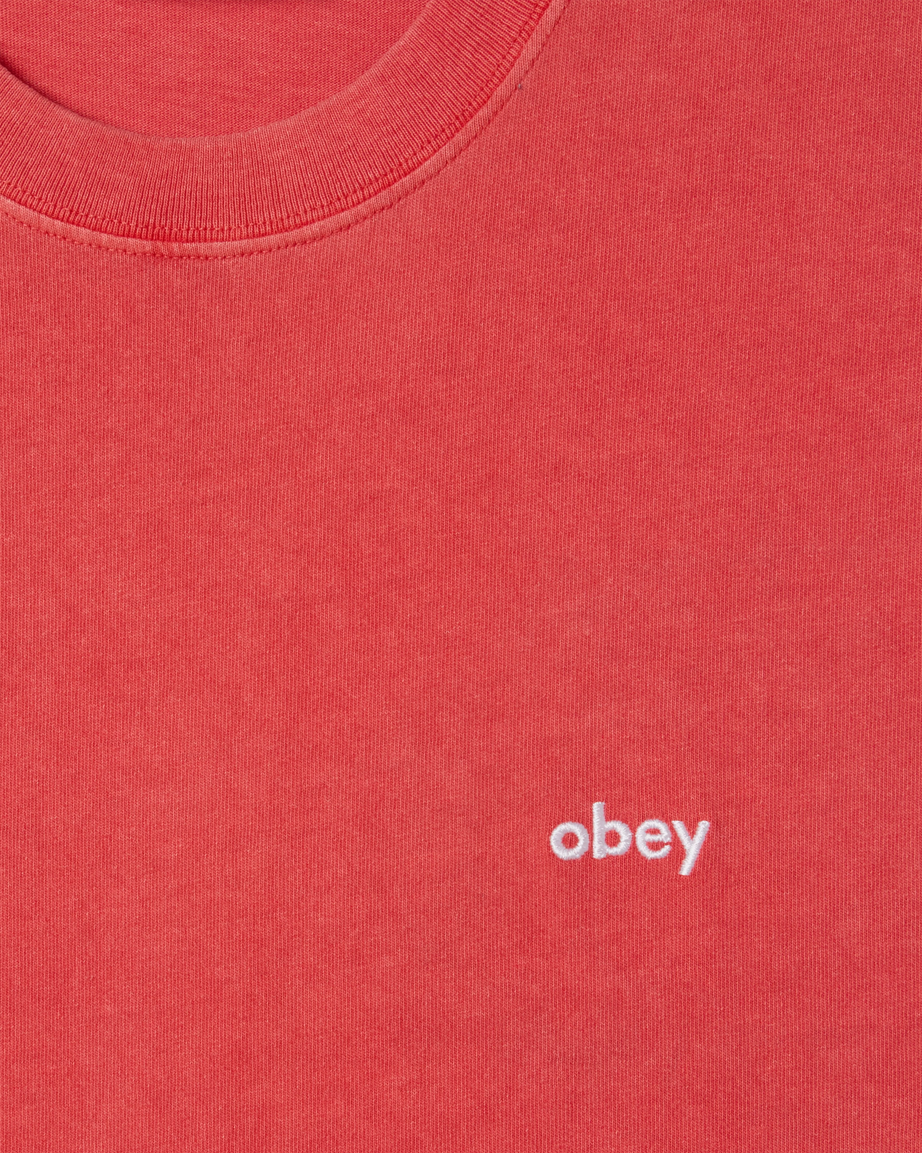 LOWERCASE PIGMENT T-SHIRT - Image 3
