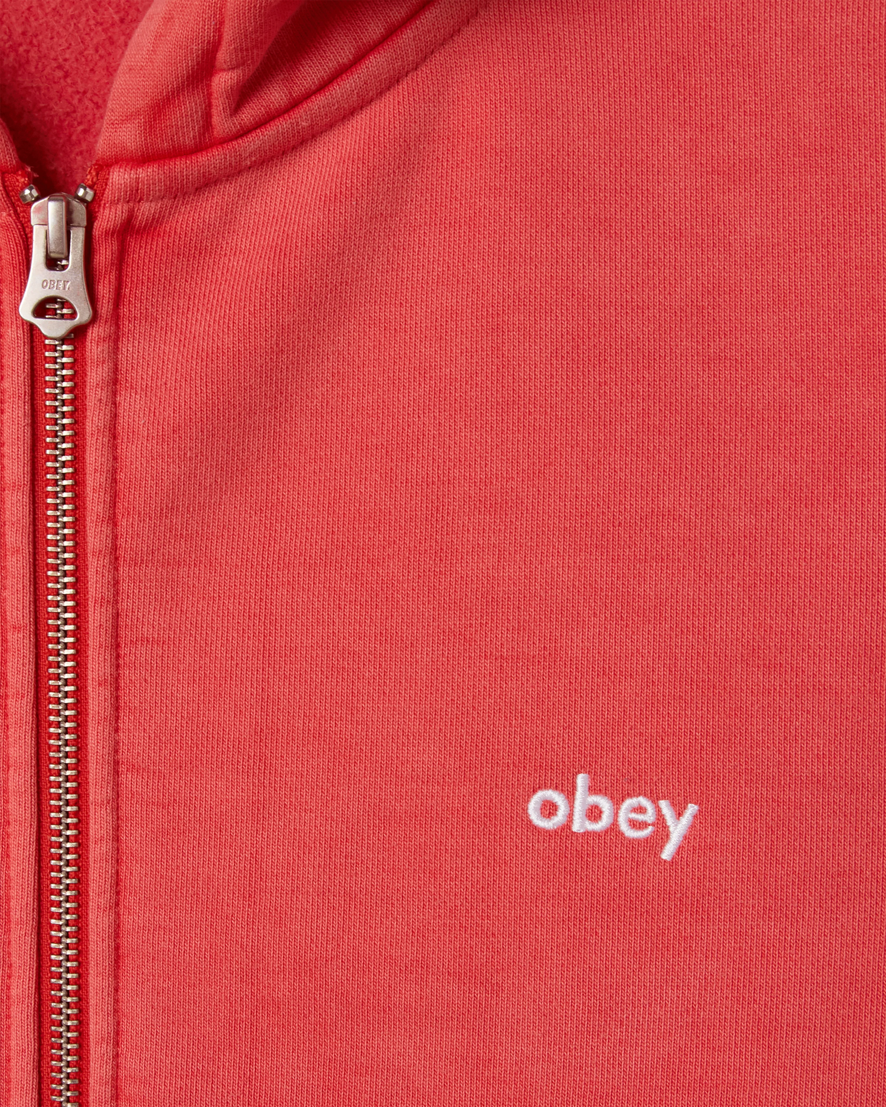 LOWERCASE PIGMENT ZIP HOOD - Image 3
